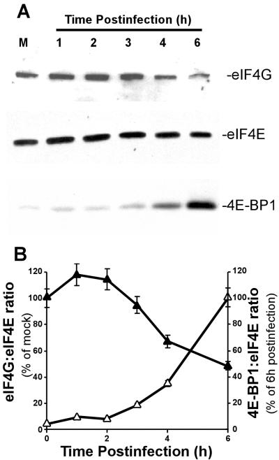 FIG. 4.