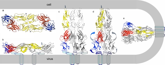 Figure 2.