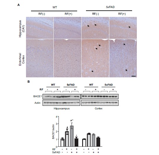 Fig. (3)