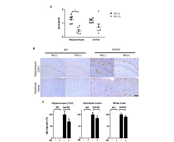 Fig. (1)