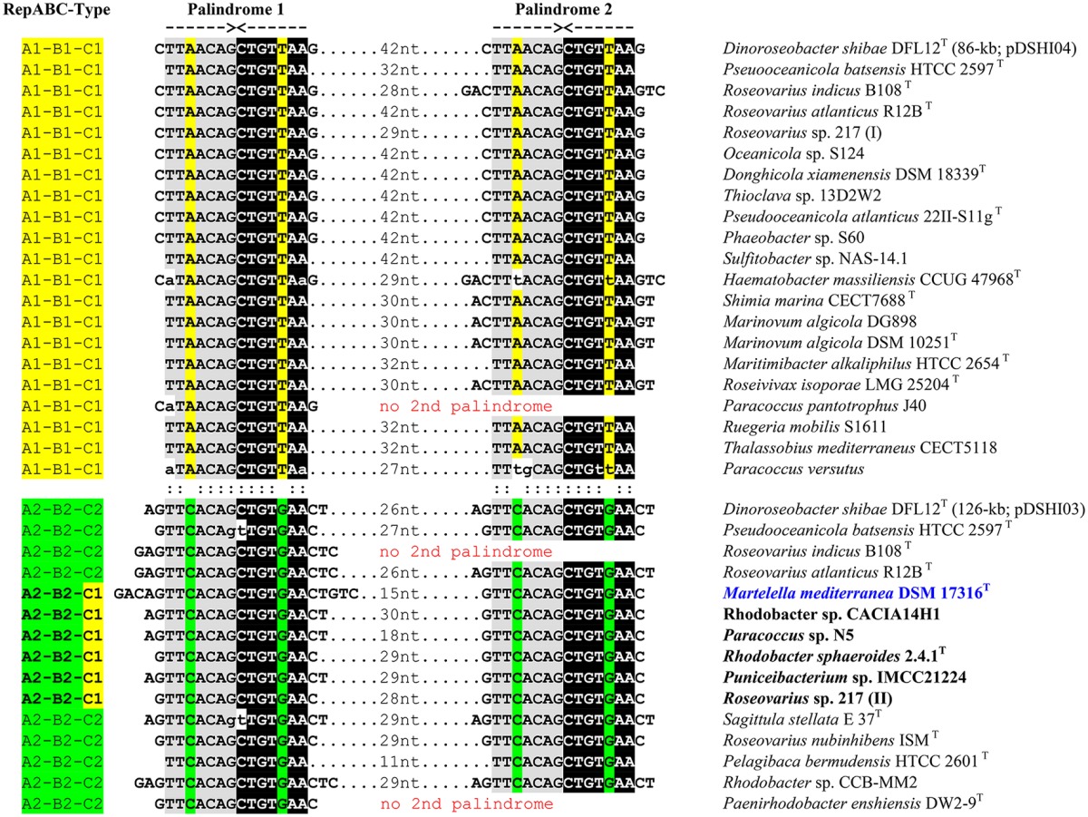 graphic file with name fmicb-08-01787-i0001.jpg