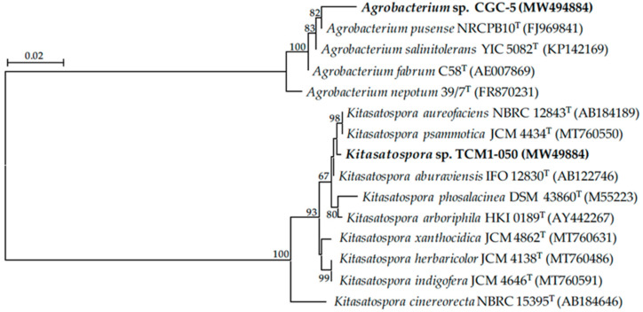 Figure 2