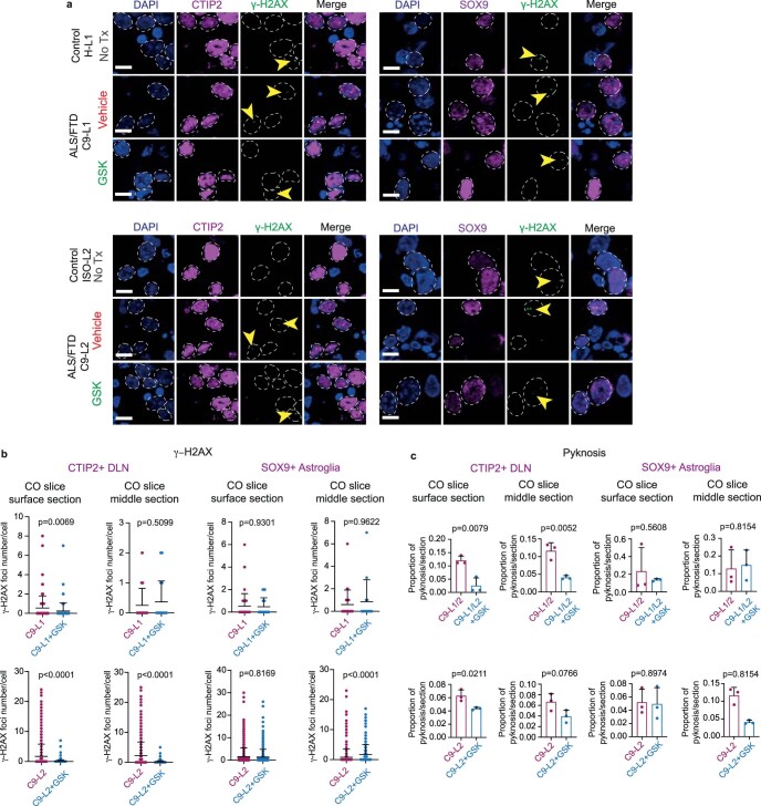 Extended Data Fig. 7