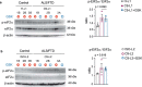 Extended Data Fig. 6