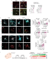 Extended Data Fig. 4