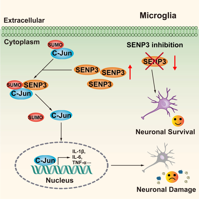 graphic file with name fx1.jpg