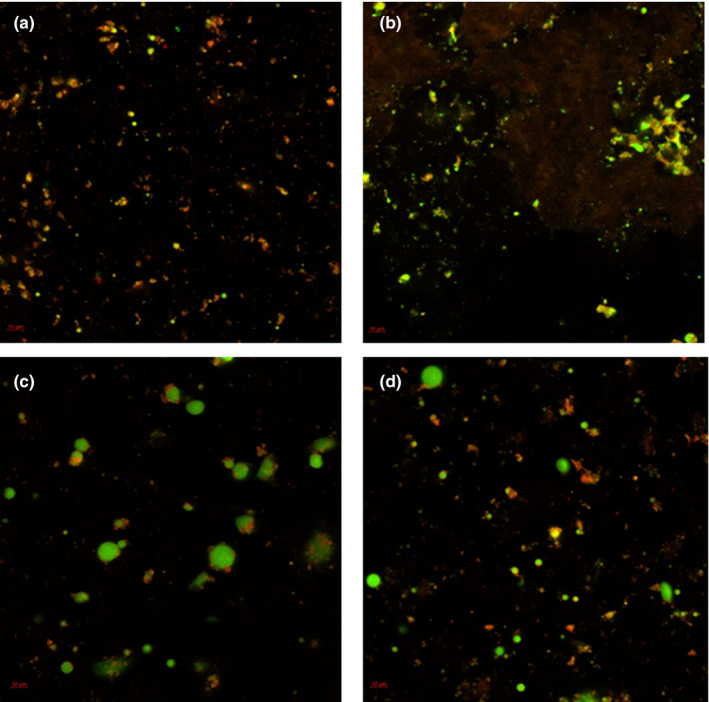 FIGURE 2