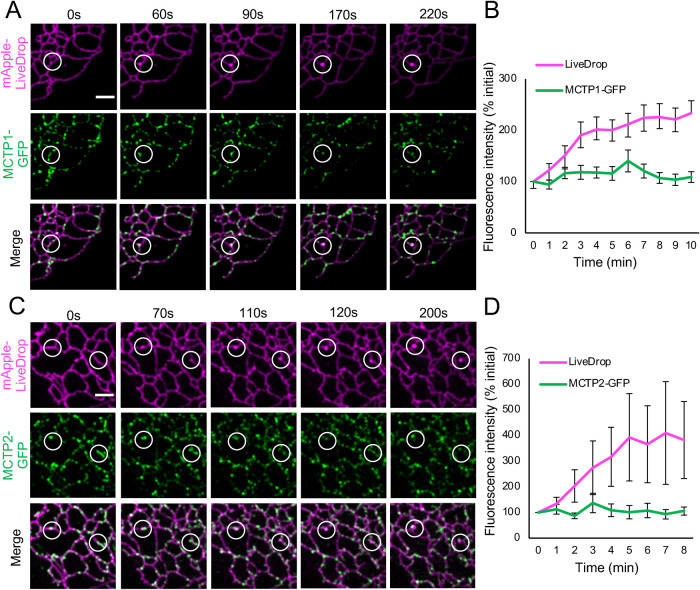 FIGURE 2: