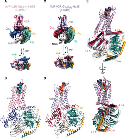 Fig. 3