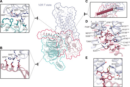 Fig. 8