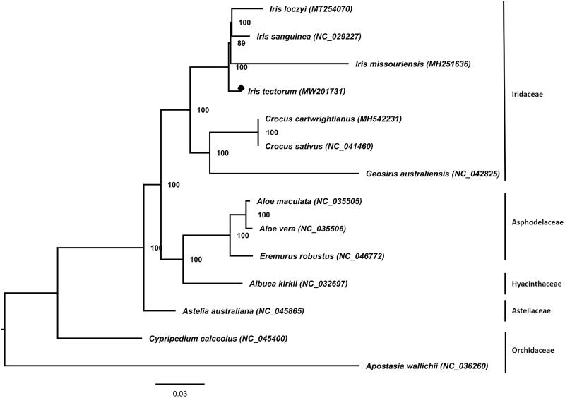 Figure 1.