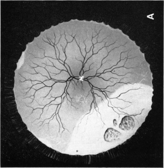 FIGURE 1. A