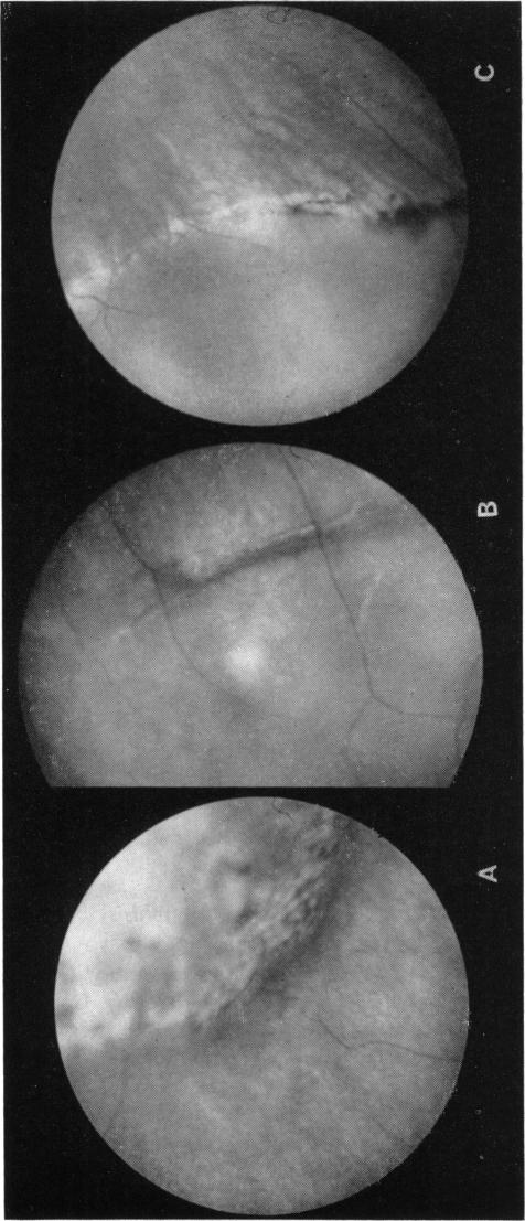 FIGURE 14.