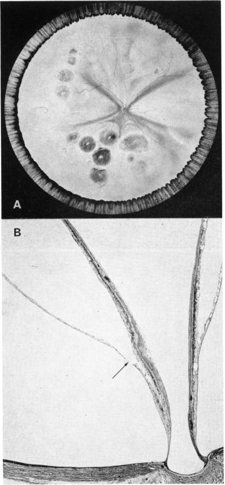 FIGURE 10.