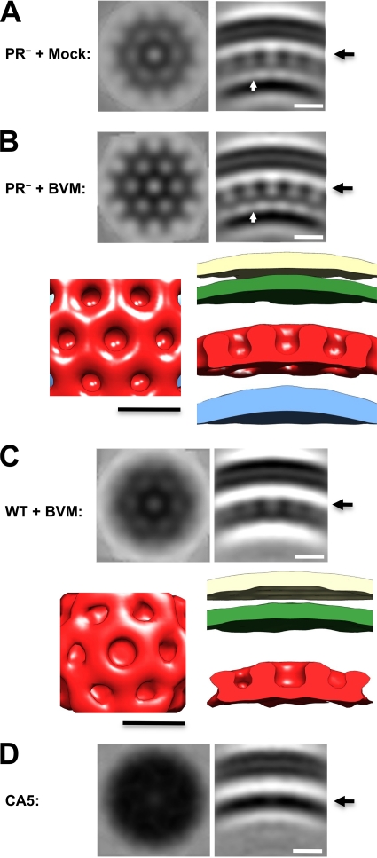 FIG. 3.