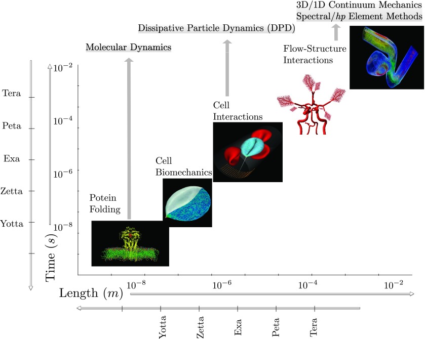 FIG. 2.