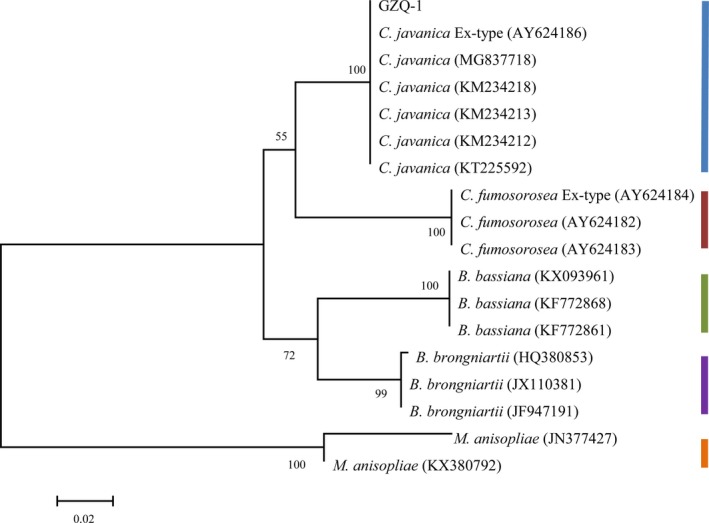 Figure 4