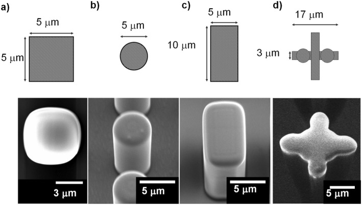 FIGURE 3