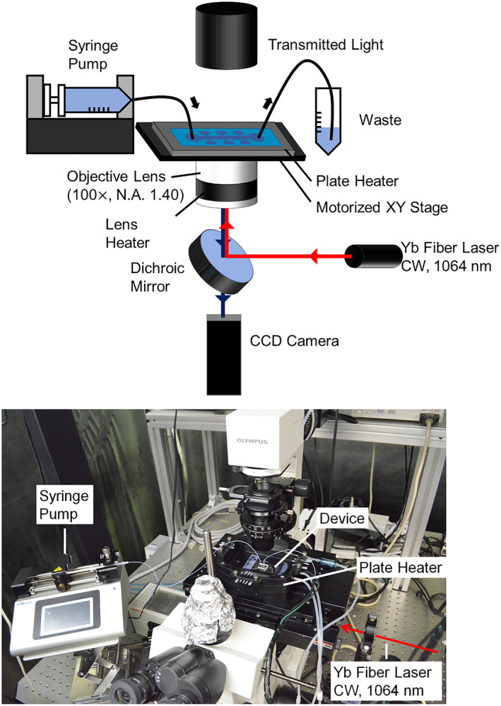 FIGURE 5