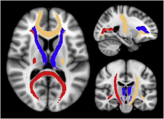 Fig. 5