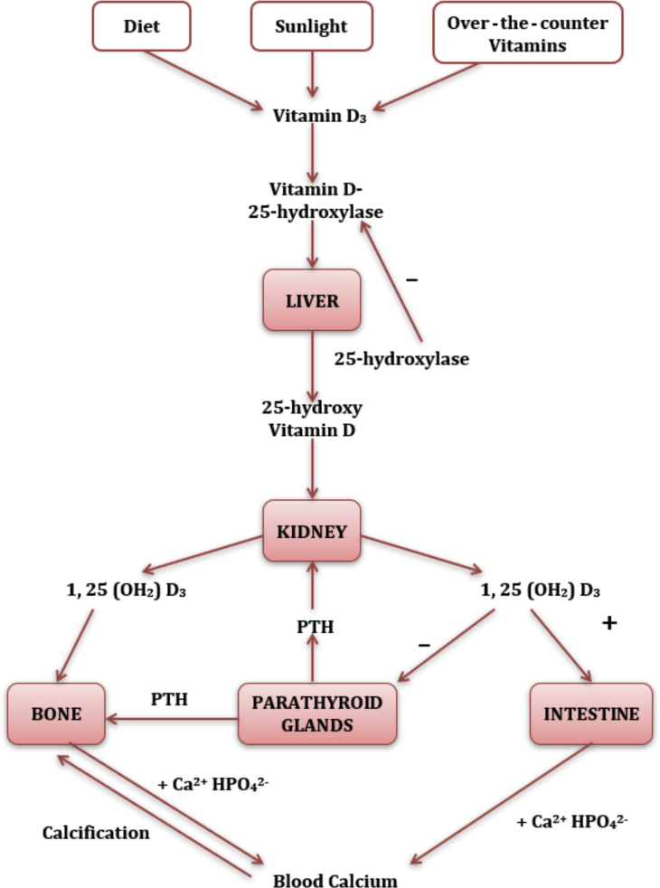 Figure 2