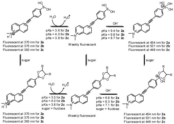 Scheme 2