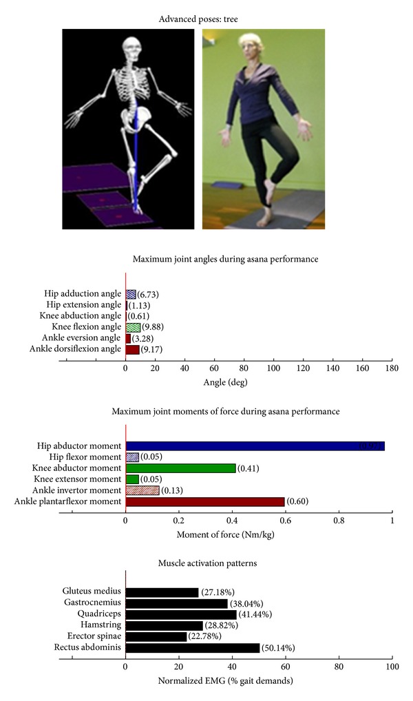 Figure 13