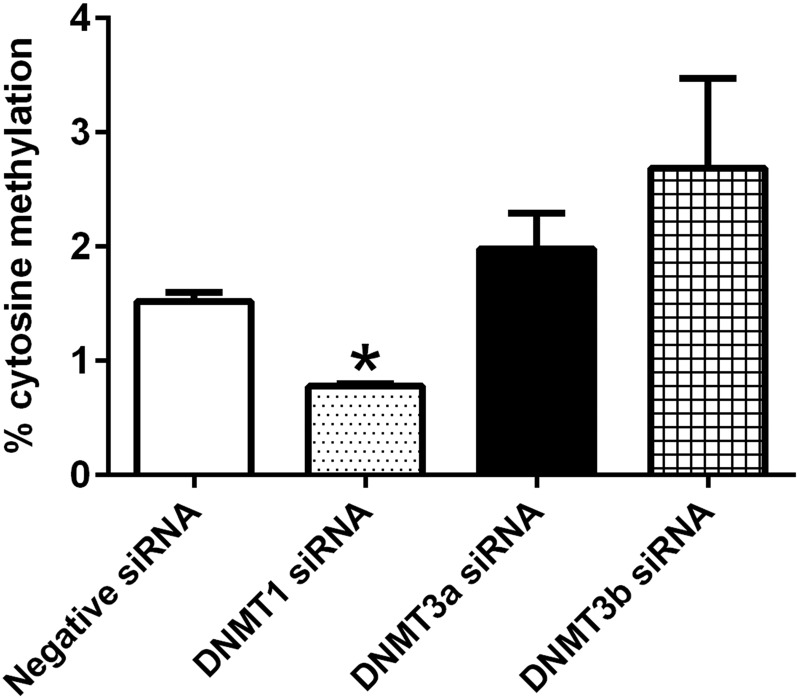 Figure 10.