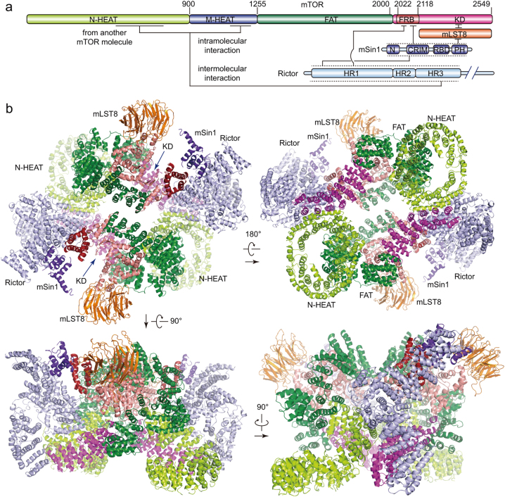 Fig. 3