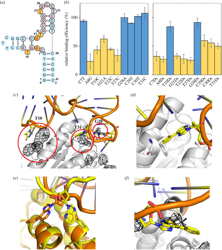 Figure 3. 