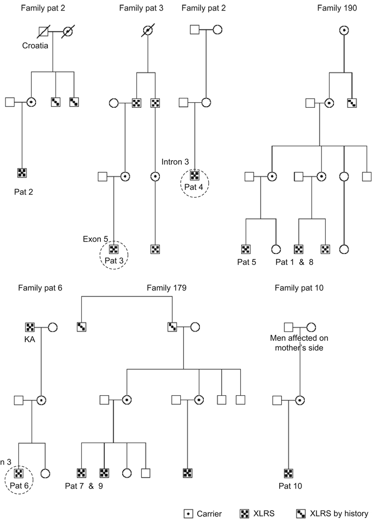 FIGURE 6