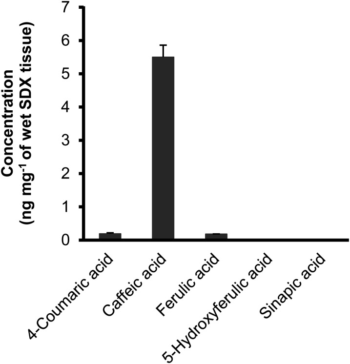 Figure 6.