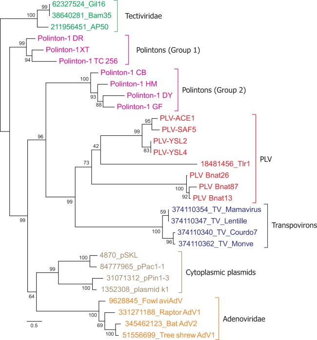 Figure 4.