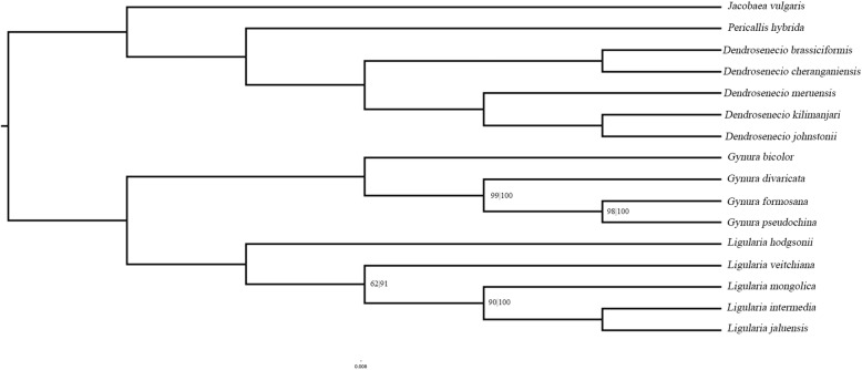 Fig. 5