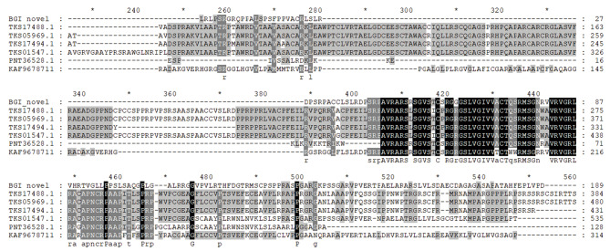Fig. 7