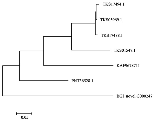 Fig. 8