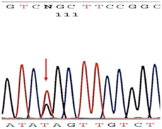 Figure 5.