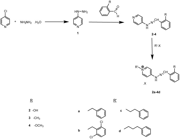 Scheme 1