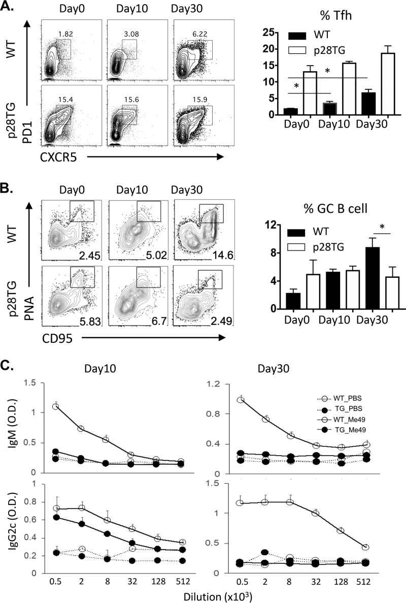 FIG 4