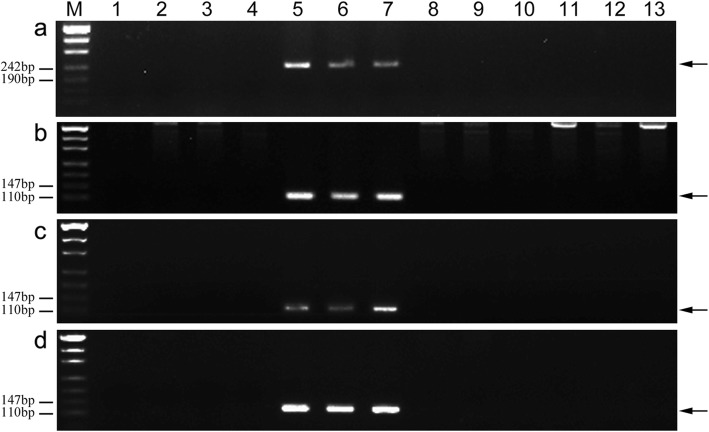 Fig. 5