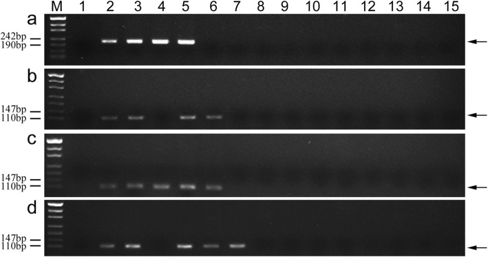 Fig. 8