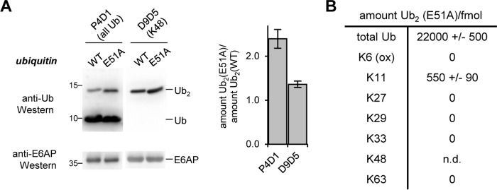 Figure 10.