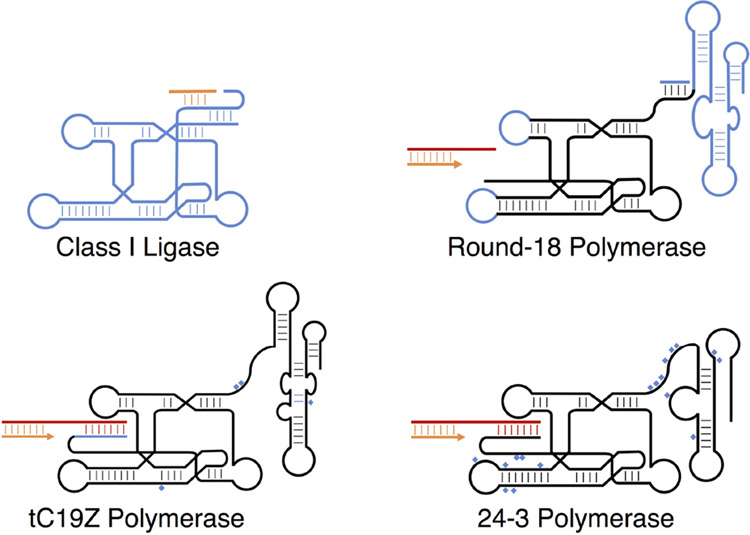 Figure 6