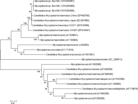 FIG. 2.