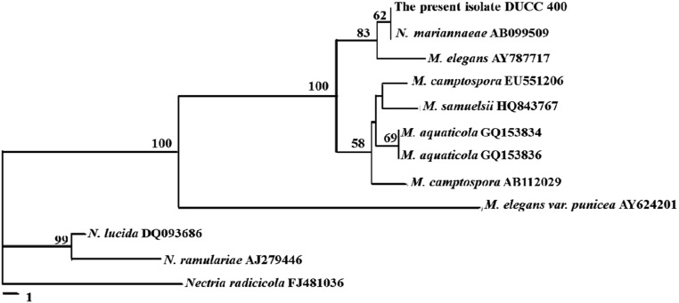 Fig. 3