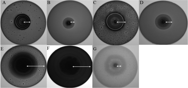 Fig. 5