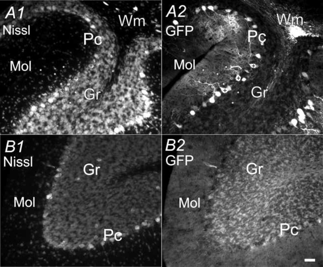 Fig. 9