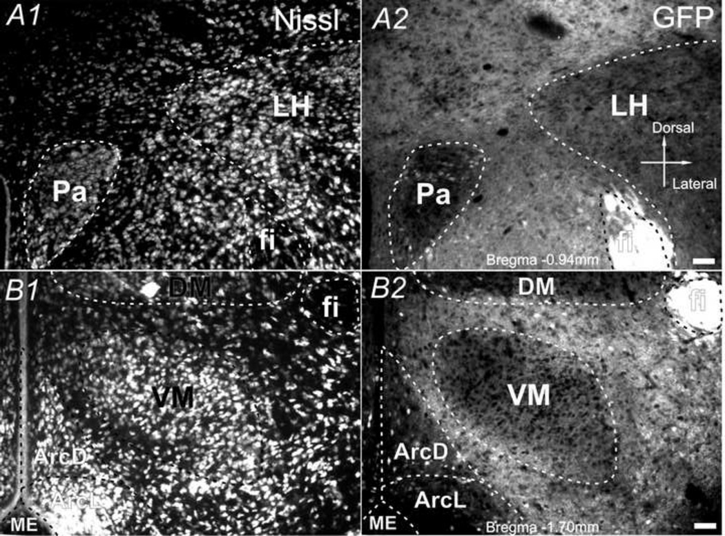 Fig. 7