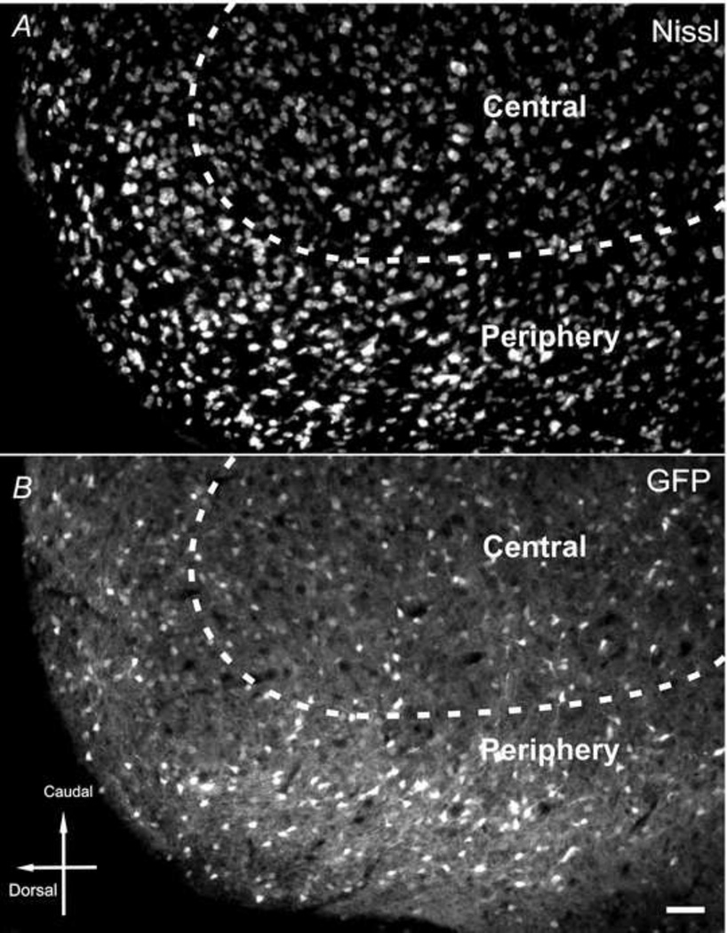 Fig. 8