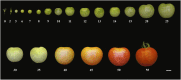 Figure 10.